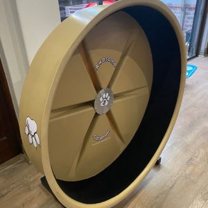 Cat Wheel